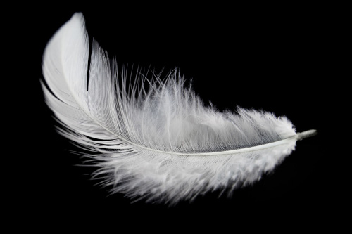 CRAZYFLY Deska kite Elite IV - Feather Light