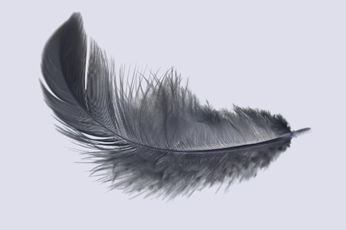 CRAZYFLY Deska kite foil Pure - Lekka jak piórko